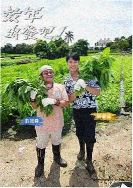 披荆斩棘6